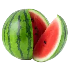 SANDIA BABY LB