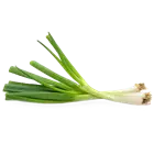 CEBOLLA JUNCA LB